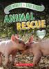 Cover image of Animal rescue