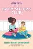 Cover image of The Baby-sitters club