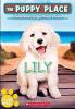 Cover image of Lily