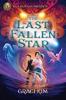 Cover image of The last fallen star