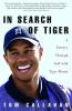 Cover image of In search of Tiger