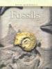 Cover image of Fossils