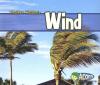 Cover image of Wind (Weather Watchers)