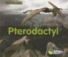 Cover image of Pterodactyl