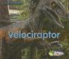 Cover image of Velociraptor