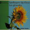 Cover image of Sunflowers up close