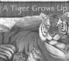 Cover image of A tiger grows up