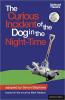 Cover image of The curious incident of the dog in the night-time