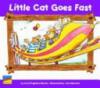 Cover image of Little Cat Goes Fast