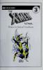 Cover image of The X-Men School