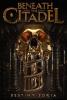 Cover image of Beneath the citadel