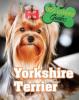 Cover image of Yorkshire terrier