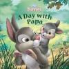 Cover image of A day with papa