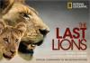 Cover image of The last lions