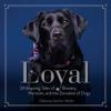 Cover image of Loyal