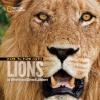 Cover image of Face to face with lions
