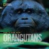 Cover image of Face to face with orangutans