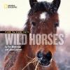 Cover image of Face to face with wild horses