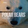 Cover image of Face to face with polar bears