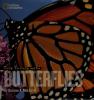 Cover image of Face to face with butterflies