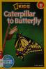 Cover image of Caterpillar to butterfly