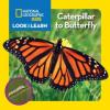 Cover image of Caterpillar to butterfly