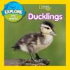 Cover image of Ducklings