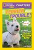 Cover image of Terrier trouble!