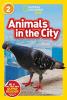 Cover image of Animals in the city