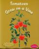 Cover image of Tomatoes grow on a vine