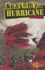 Cover image of Anatomy of a hurricane