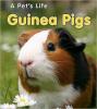 Cover image of Guinea pigs