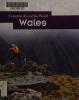 Cover image of Wales