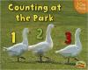 Cover image of Counting at the park