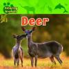 Cover image of Deer