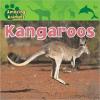 Cover image of Kangaroos