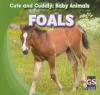 Cover image of Foals