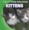 Cover image of Kittens