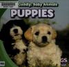 Cover image of Puppies