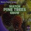 Cover image of Watch pine trees grow