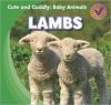 Cover image of Lambs