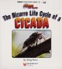 Cover image of The bizarre life cycle of a cicada