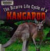 Cover image of The bizarre life cycle of a kangaroo