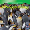 Cover image of A penguin colony