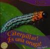 Cover image of It's a caterpillar! =