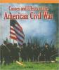 Cover image of Causes and effects of the American Civil War