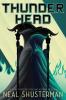 Cover image of Thunderhead