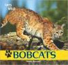 Cover image of Bobcats