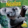 Cover image of Koalas
