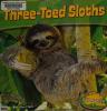 Cover image of Three-toed sloths